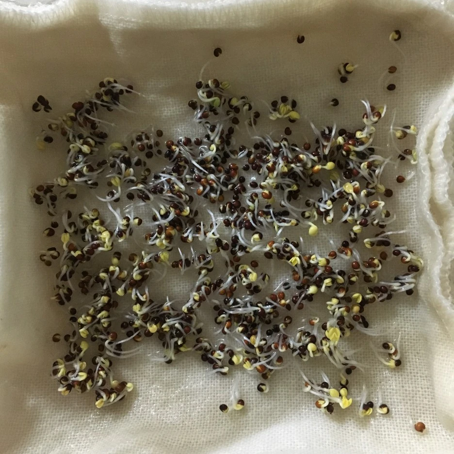 20210424_1036.JPG?type=w1