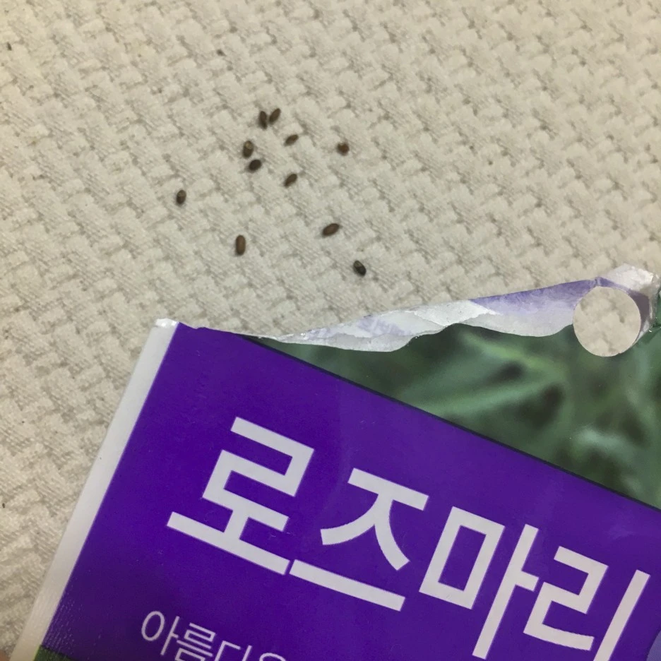 20210310_0155.jpg?type=w1