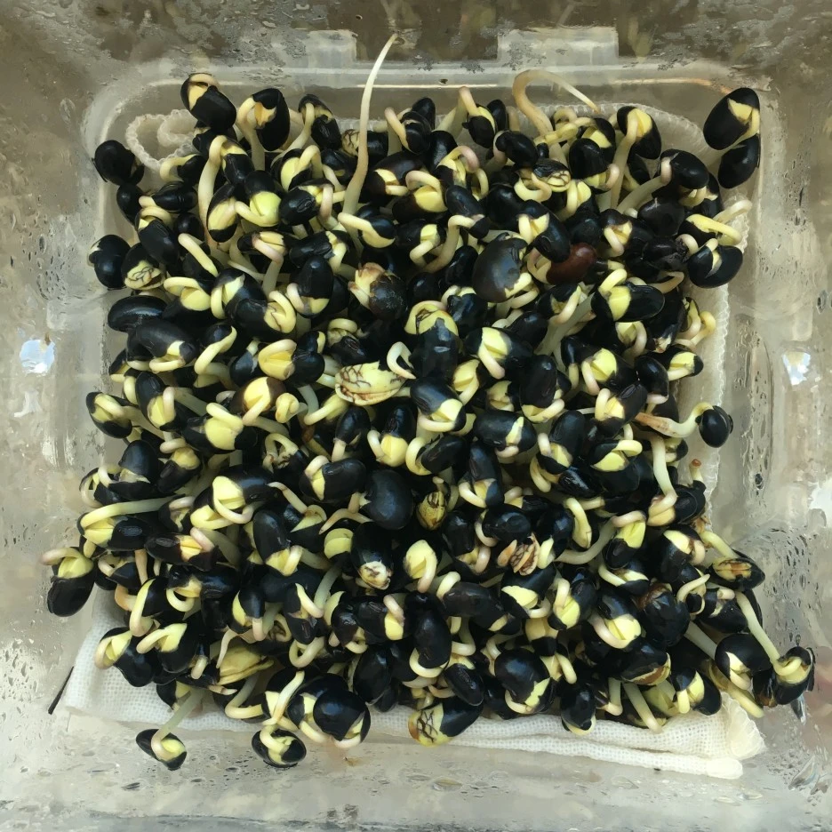 20210418_2826.JPG?type=w1