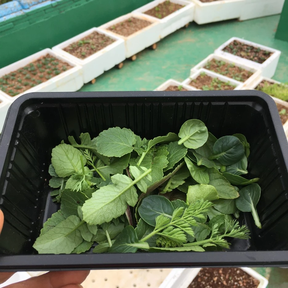 20210428_1162.JPG?type=w1