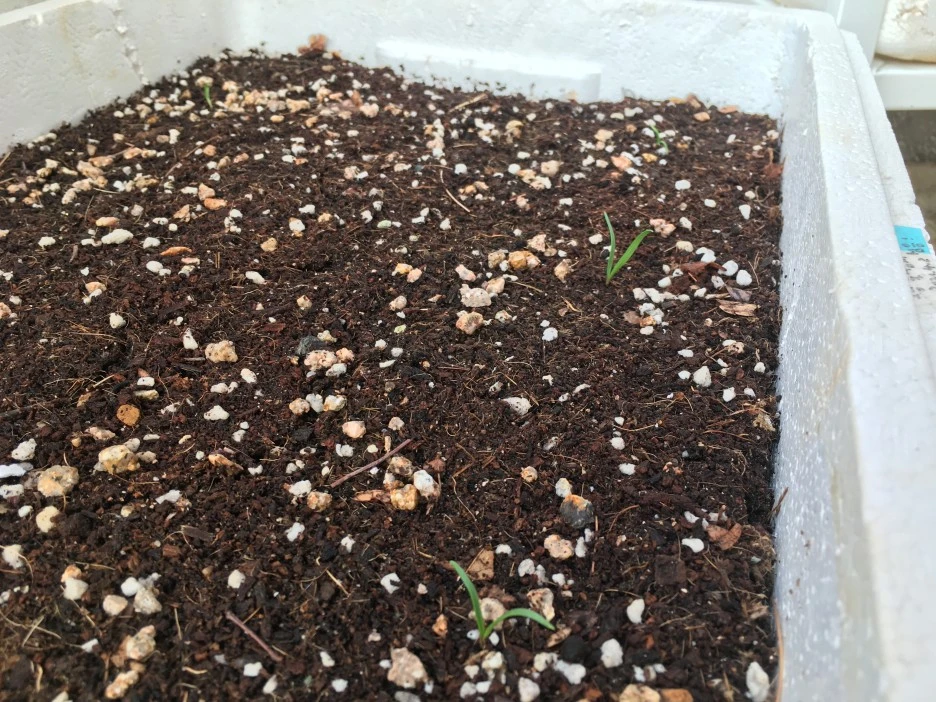 20210513_1466.JPG?type=w1