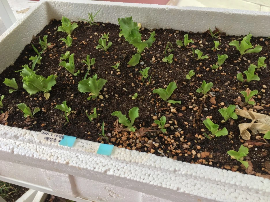 20210517_1606.JPG?type=w1