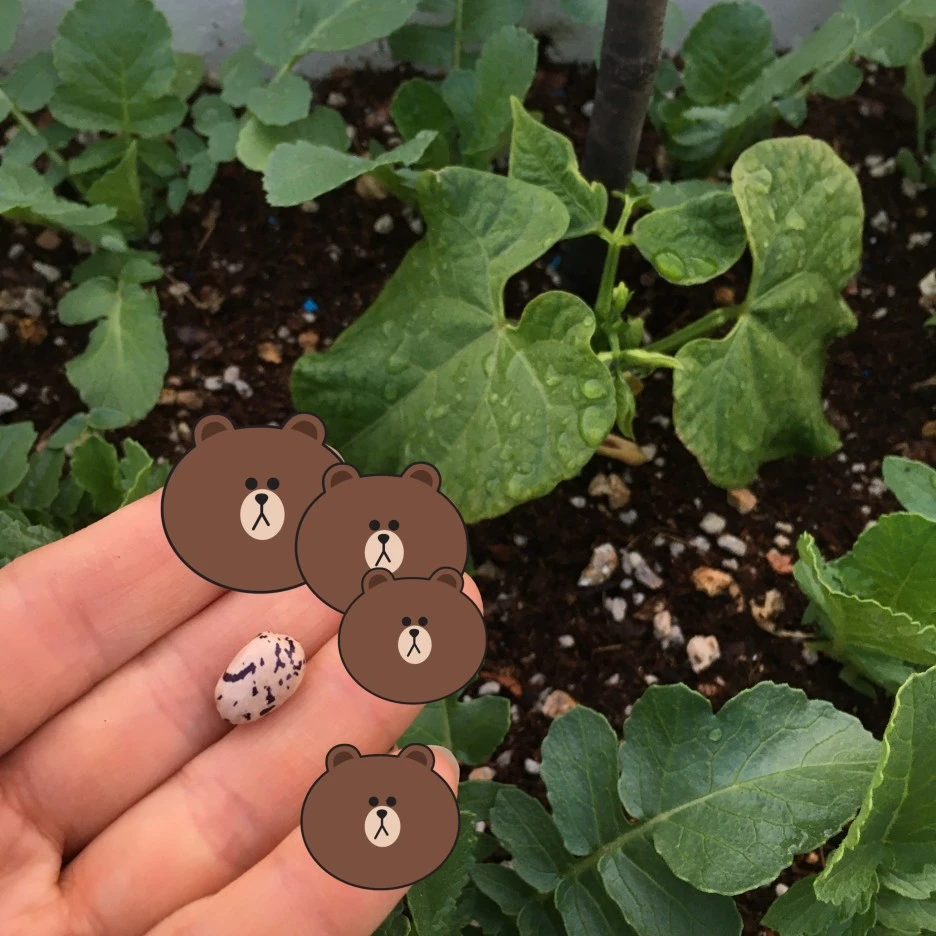 SE-72637924-a175-4e5c-853d-d942ace39214.jpg?type=w1