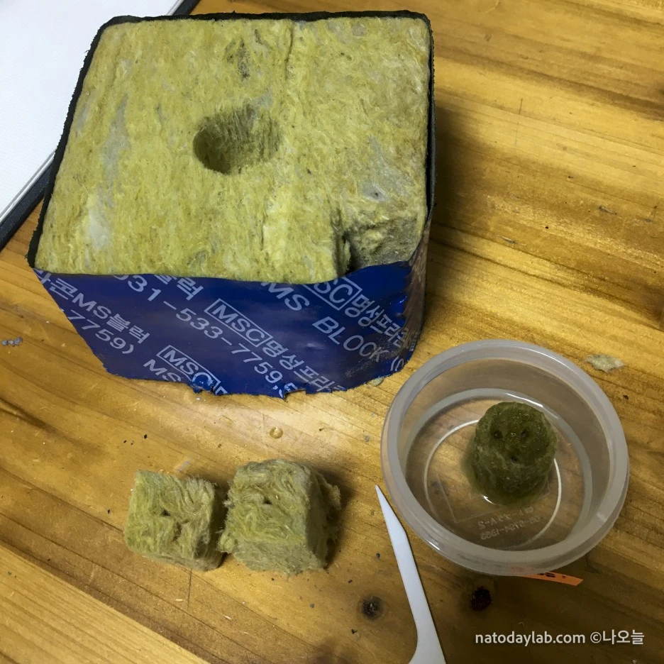 20210215--7.jpg?type=w1