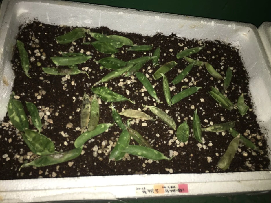 20210423_1008.JPG?type=w1