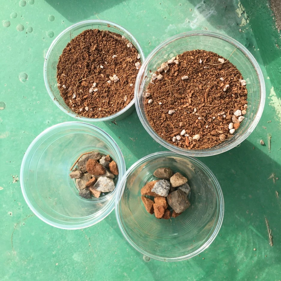 20210401_0466.JPG?type=w1