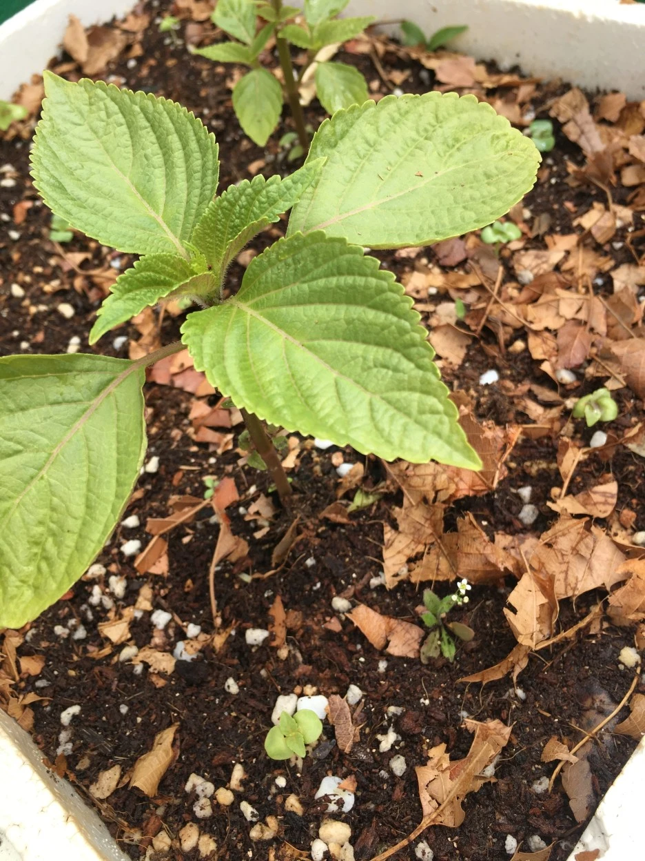 20210515_1551.JPG?type=w1