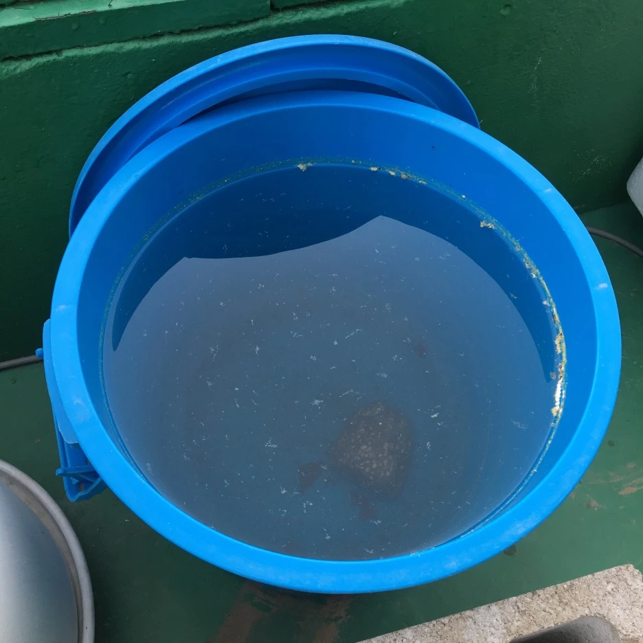 20210507_0111.JPG?type=w1