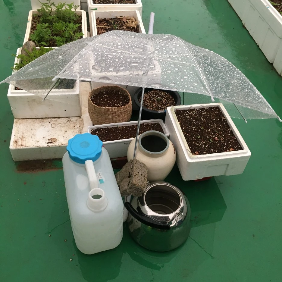 20210507_0110.JPG?type=w1