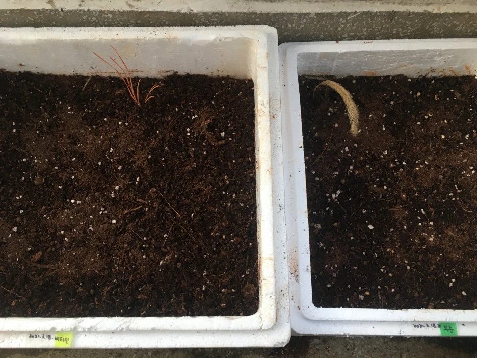 20210322_0269.JPG?type=w1