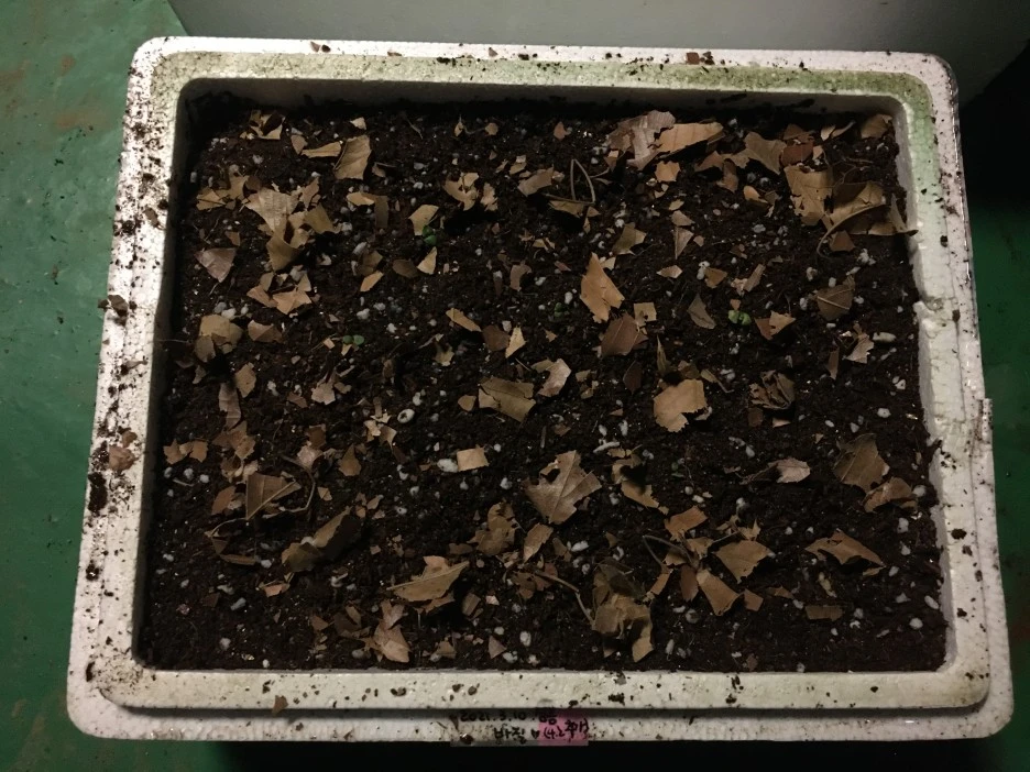 20210424_1031.JPG?type=w1