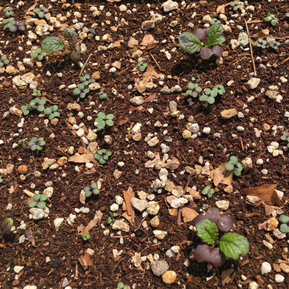 20210503_1262.JPG?type=w1