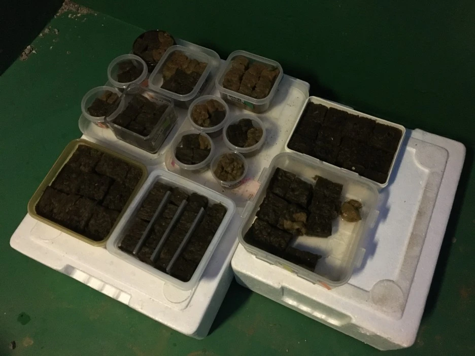 20210413_1000.JPG?type=w1