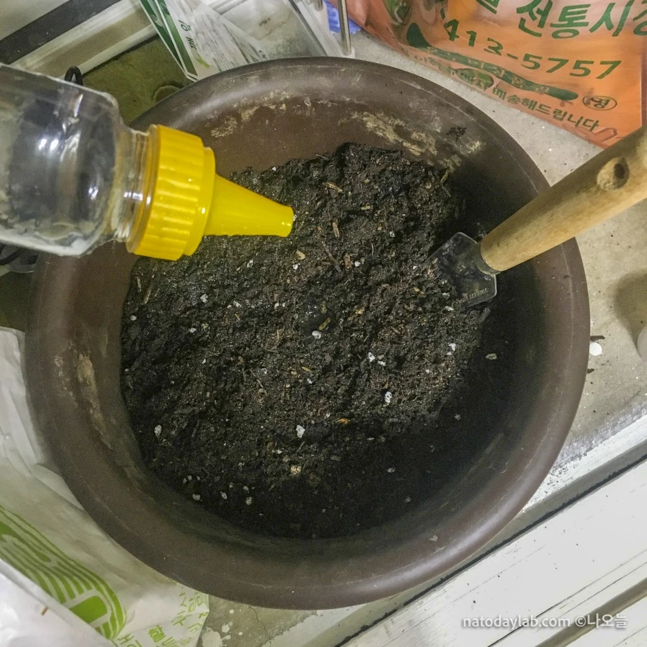 20210211--4.jpg?type=w1