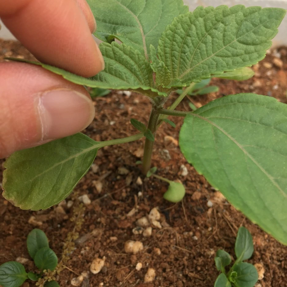 20210424_1025.JPG?type=w1