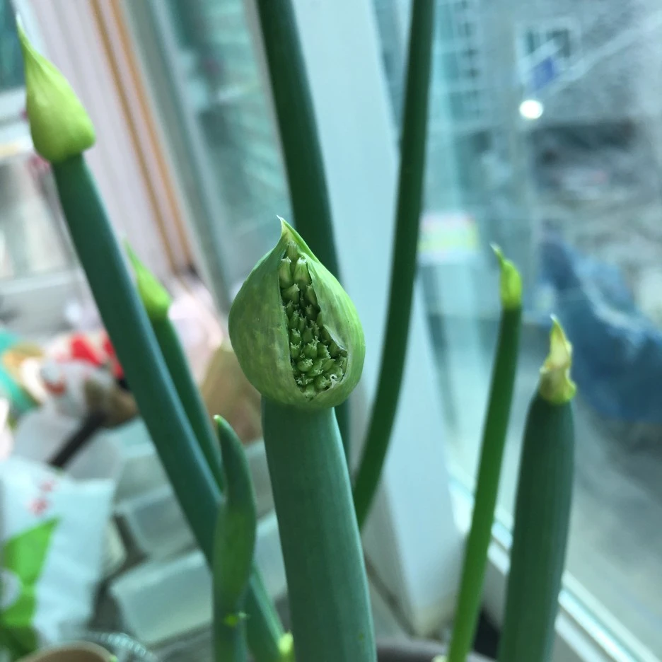 20210401_0454.JPG?type=w1