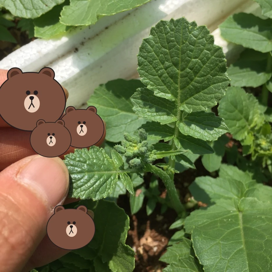 SE-05967ad0-e3e4-4cb2-bf7e-82a34567309f.jpg?type=w1