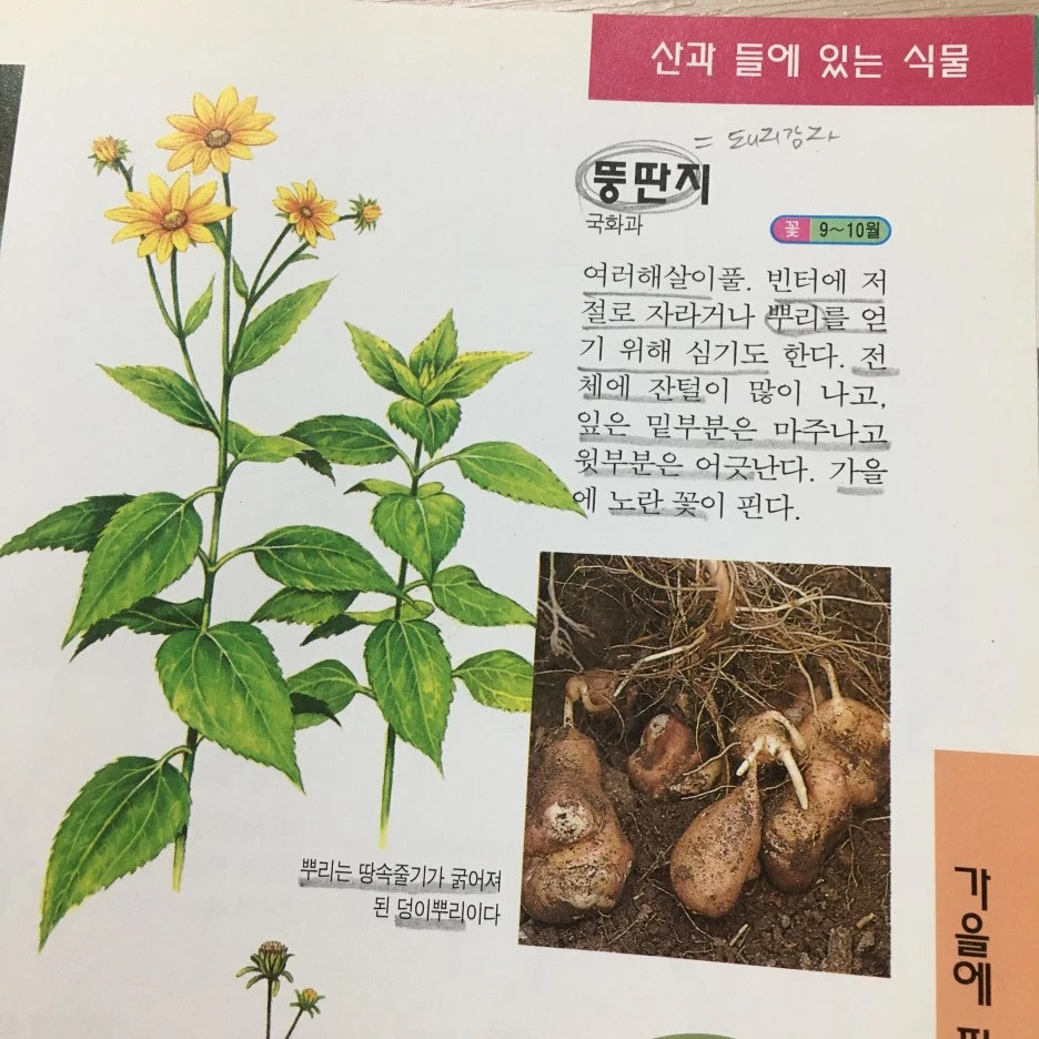 20210513_1451.JPG?type=w1