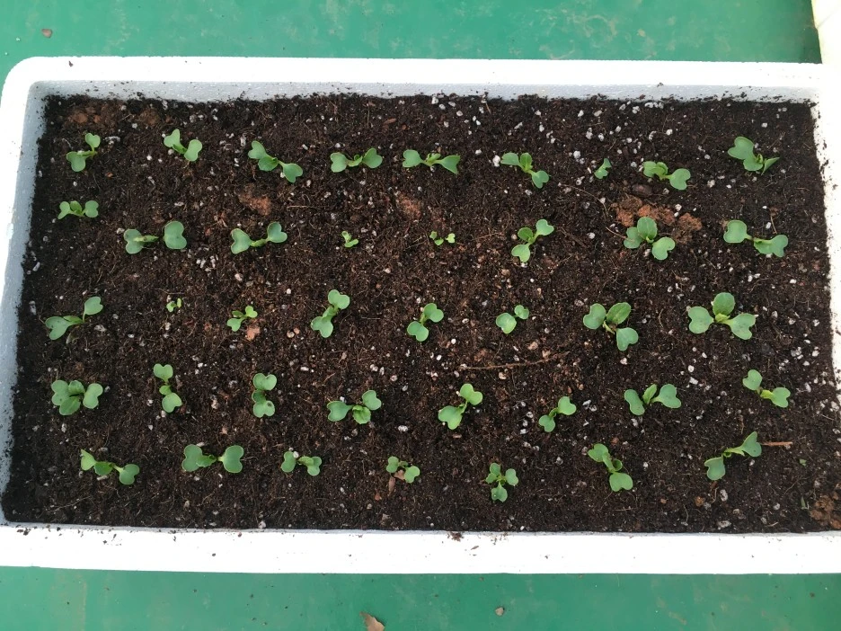 20210506_0107.JPG?type=w1