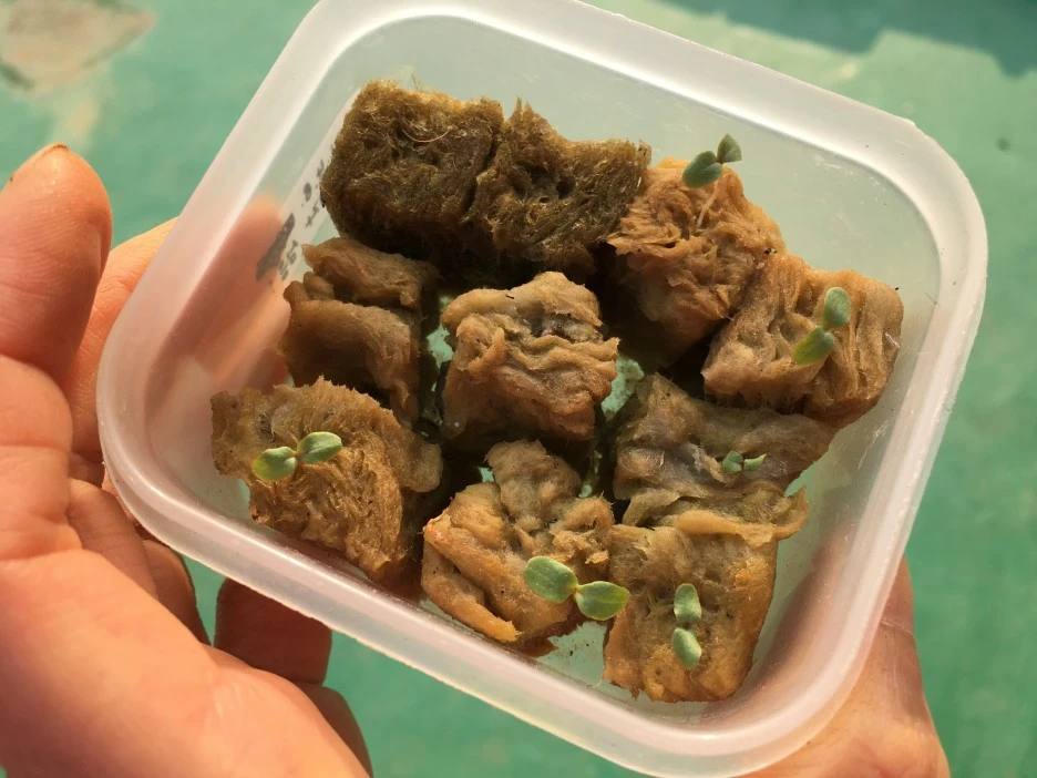 20210410_0715.JPG?type=w1