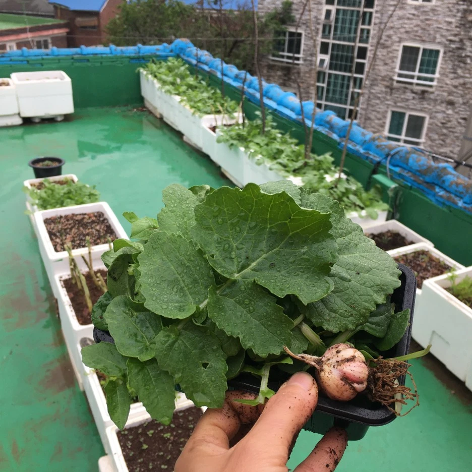 20210517_1600.JPG?type=w1