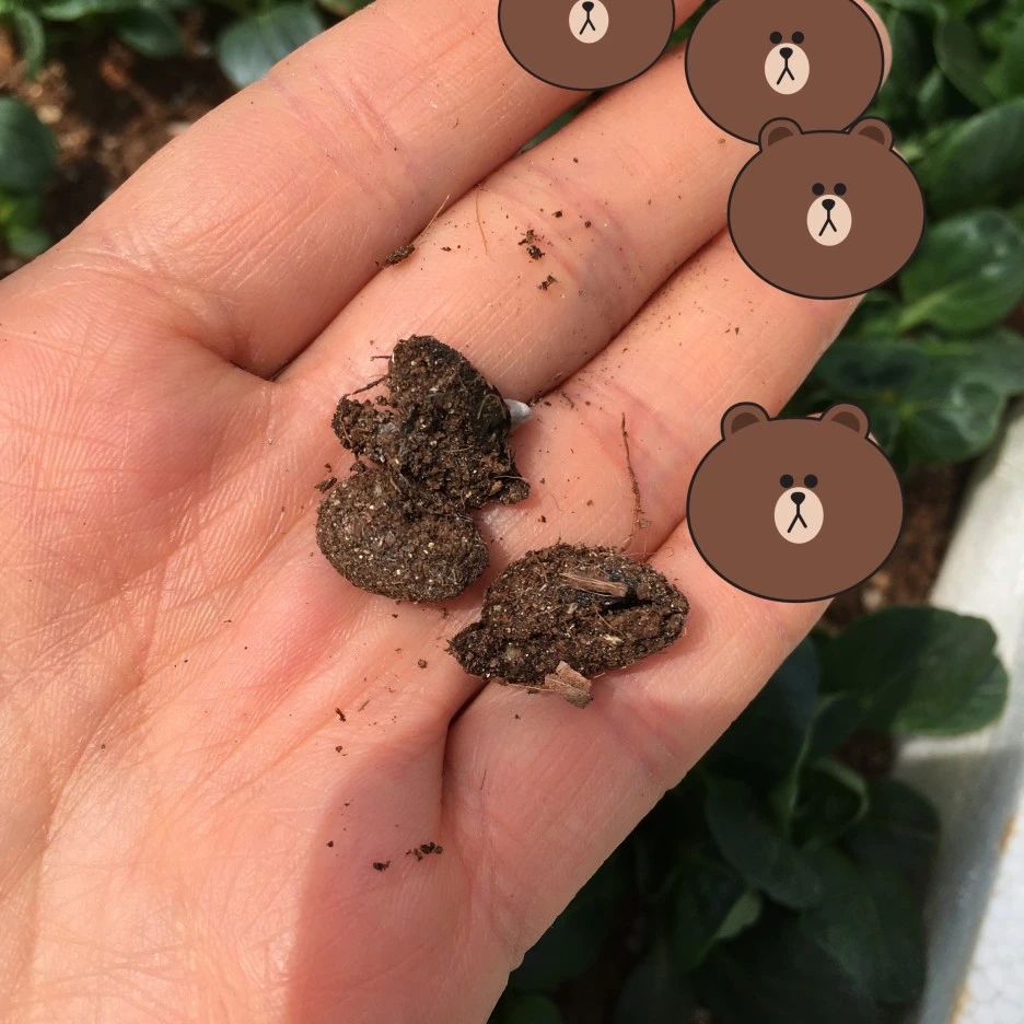 SE-8451ebdf-940e-4bba-8b64-6edfd0d76968.jpg?type=w1