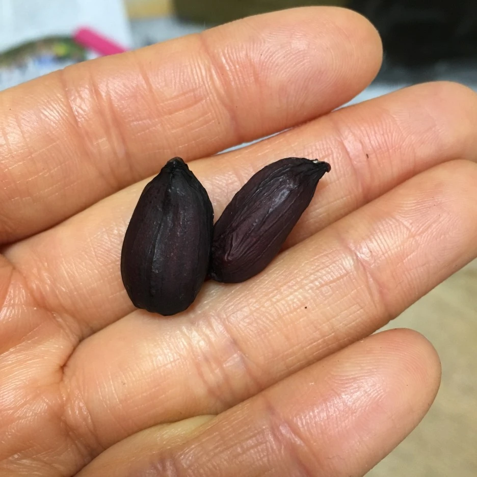 20210408_0599.JPG?type=w1