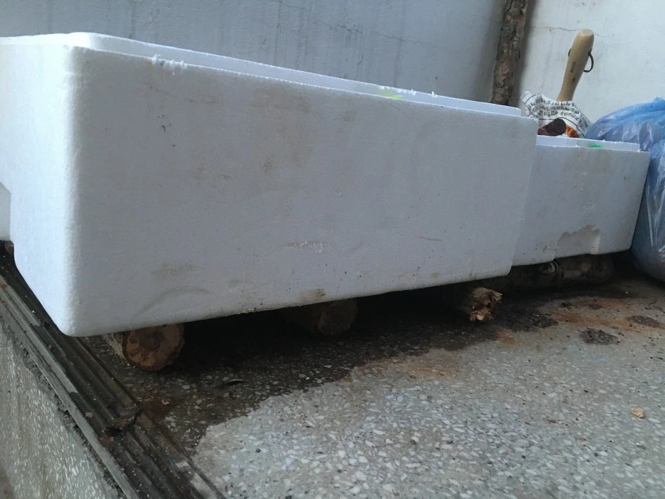 20210324_0287.JPG?type=w1