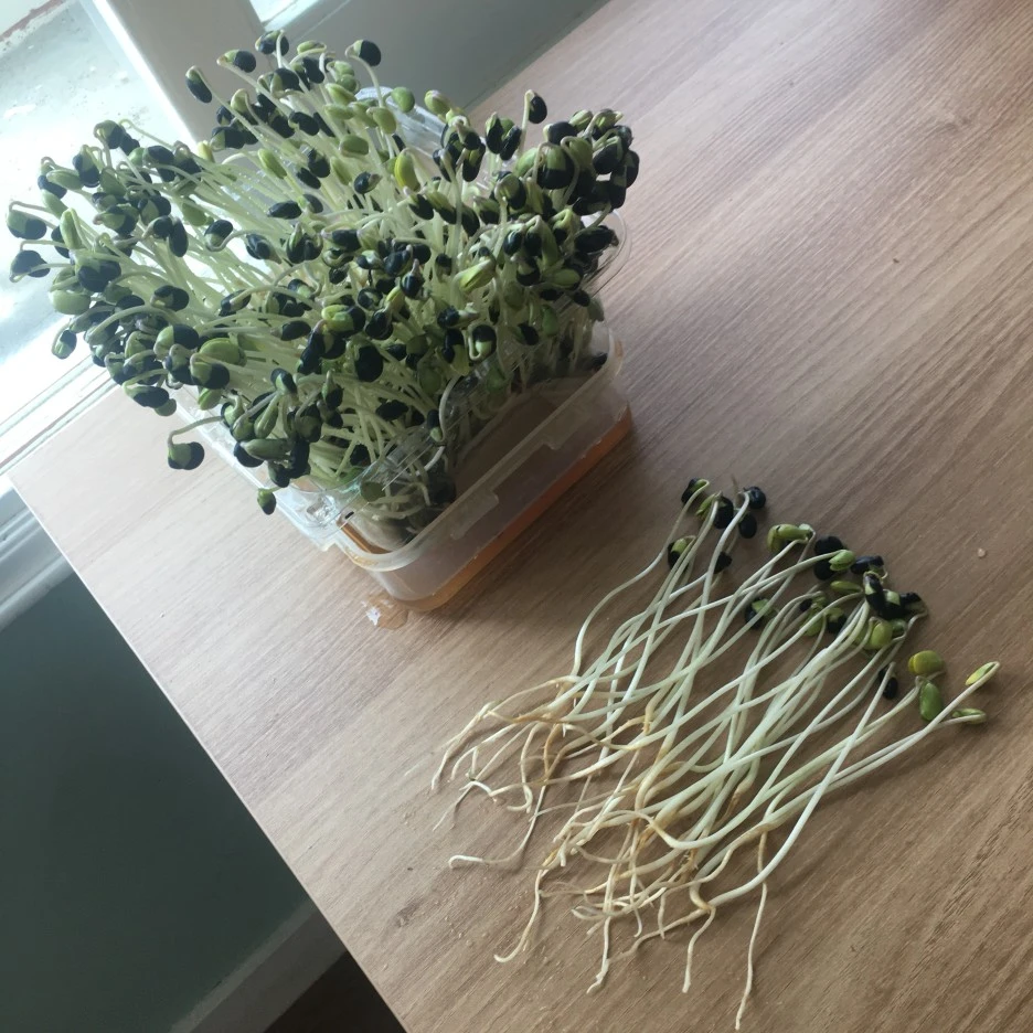 20210422_0931.JPG?type=w1