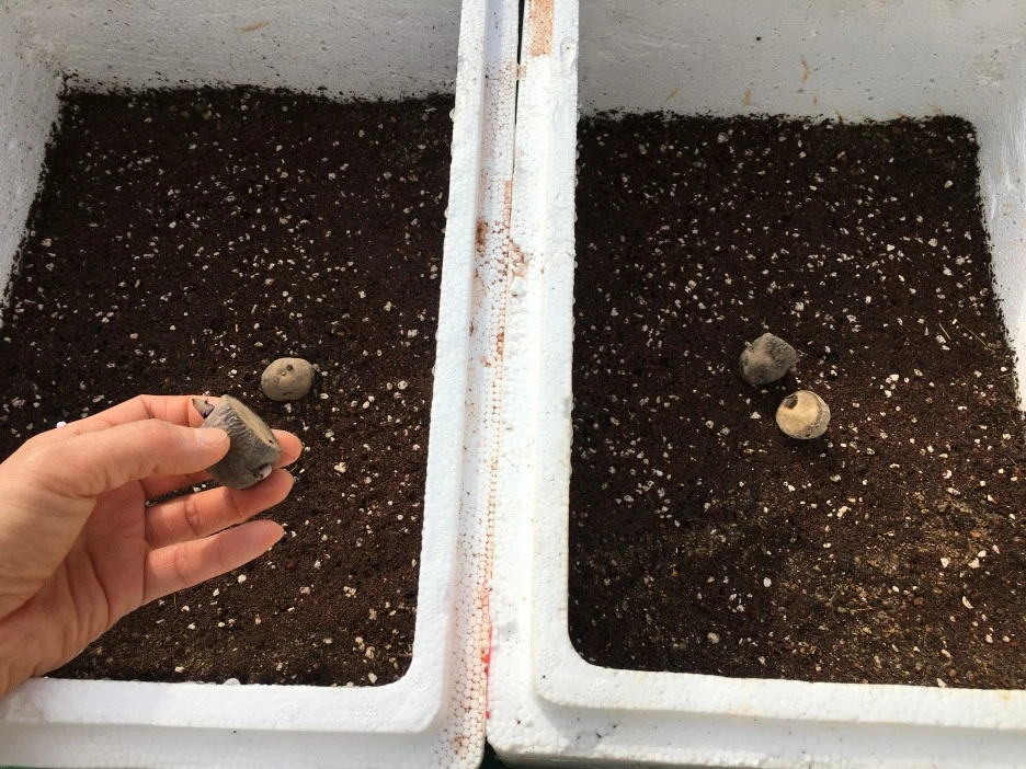 20210401_0460.JPG?type=w1