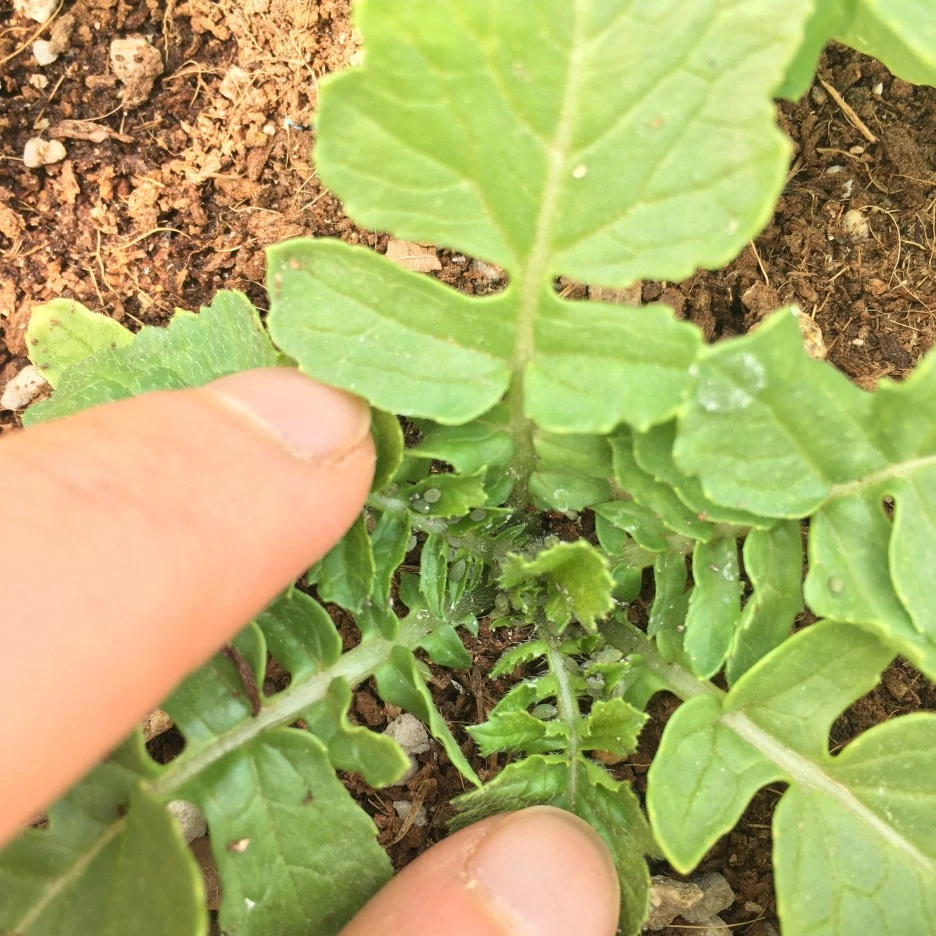 20210512_1429.JPG?type=w1