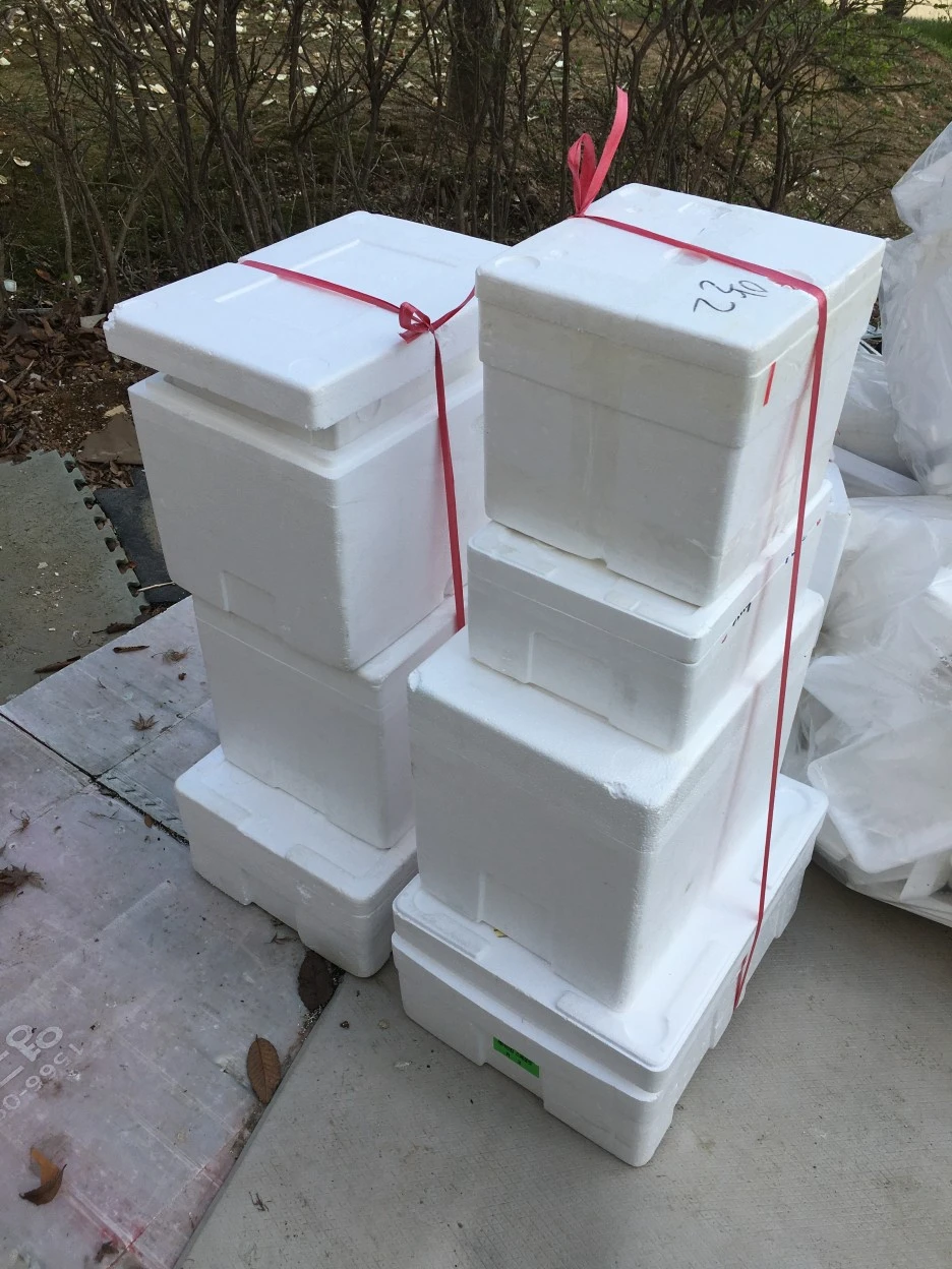 20210331_0431.JPG?type=w1