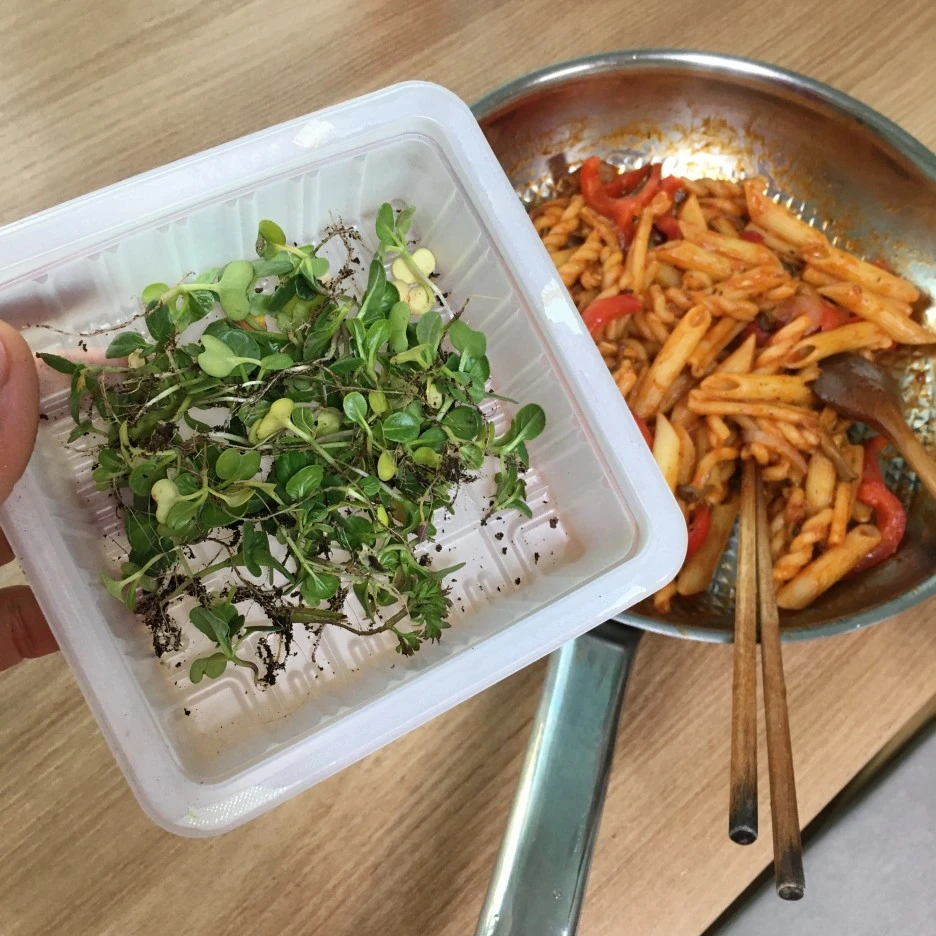 20210417_1152.JPG?type=w1