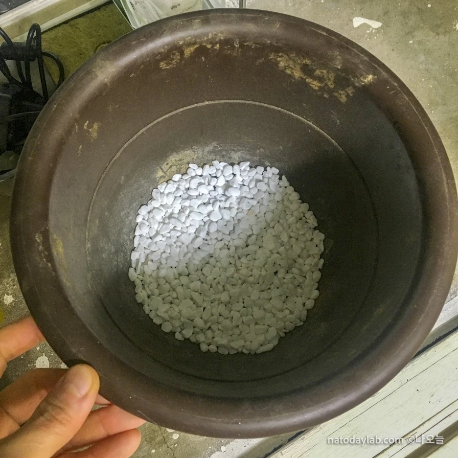 20210211-.jpg?type=w1