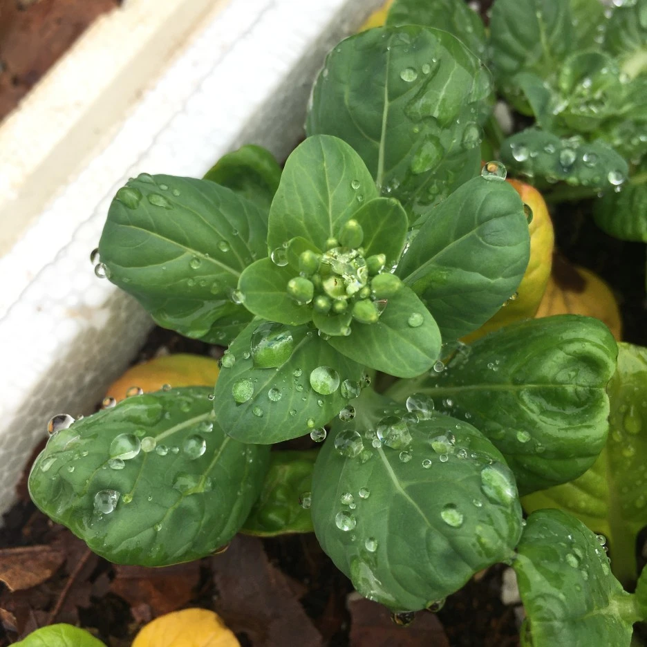 20210517_1591.JPG?type=w1