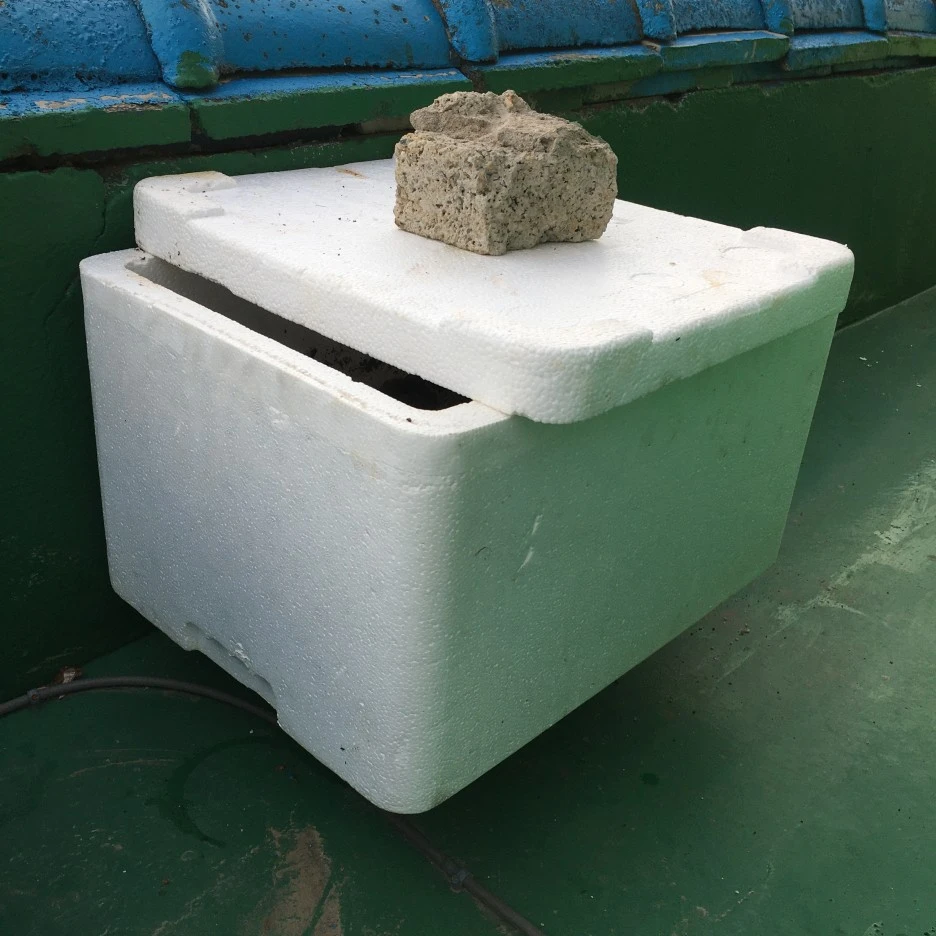 20210506_0104.JPG?type=w1