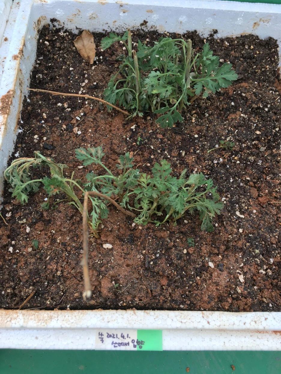 20210402_0519.JPG?type=w1