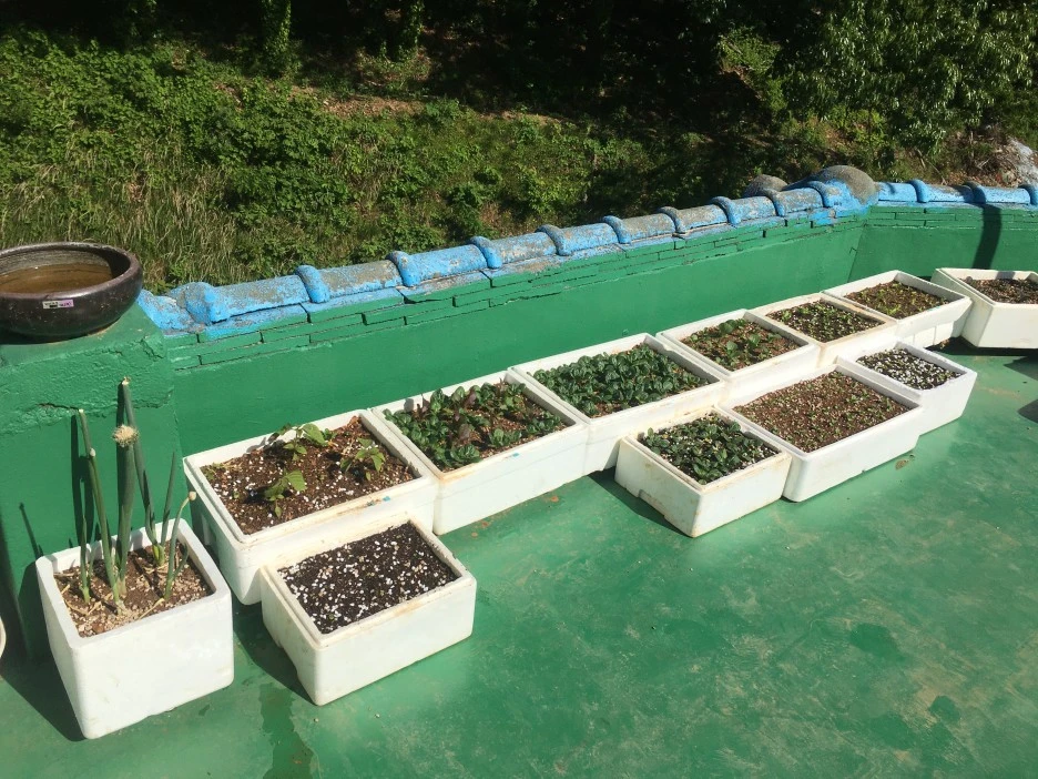 20210509_1334.JPG?type=w1