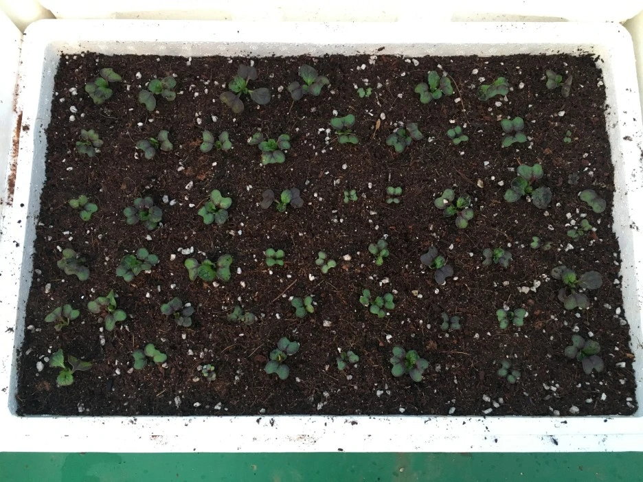 20210511_1409.JPG?type=w1