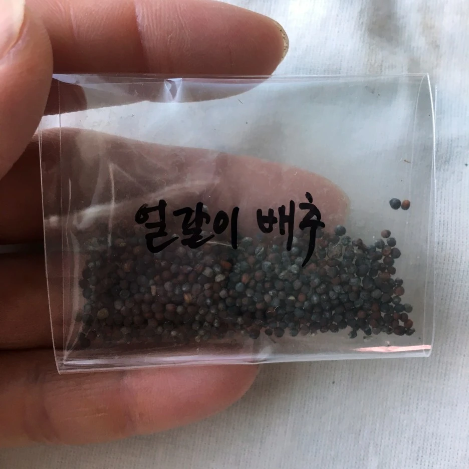 SE-72752bd5-f766-434a-881b-0aa94994e9e7.jpg?type=w1