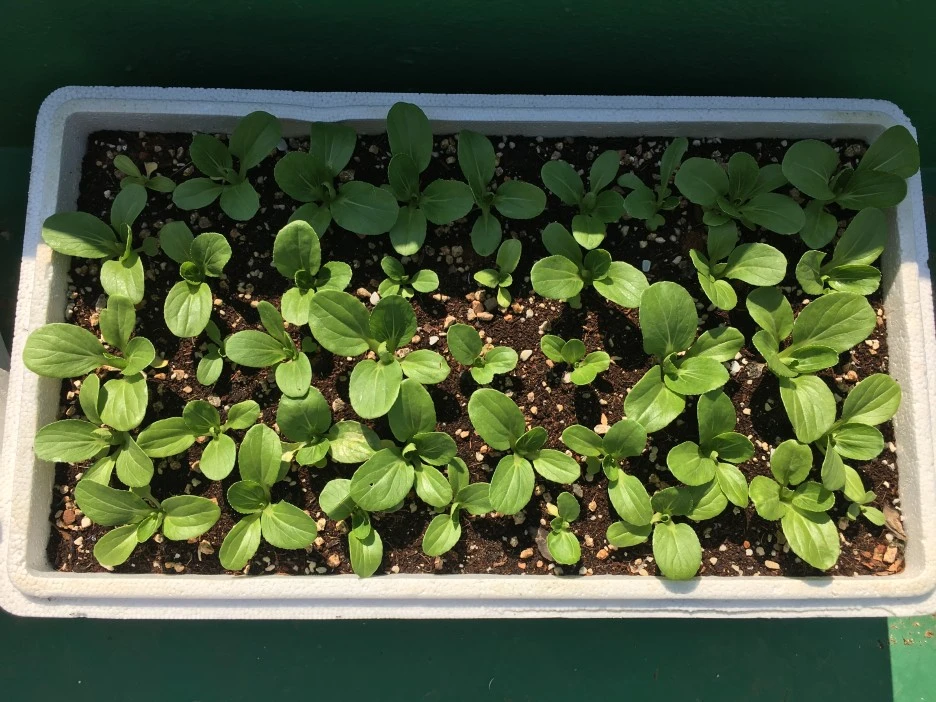 20210519_1669.JPG?type=w1