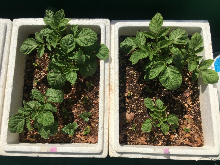 IMG_1009.JPG?type=w1