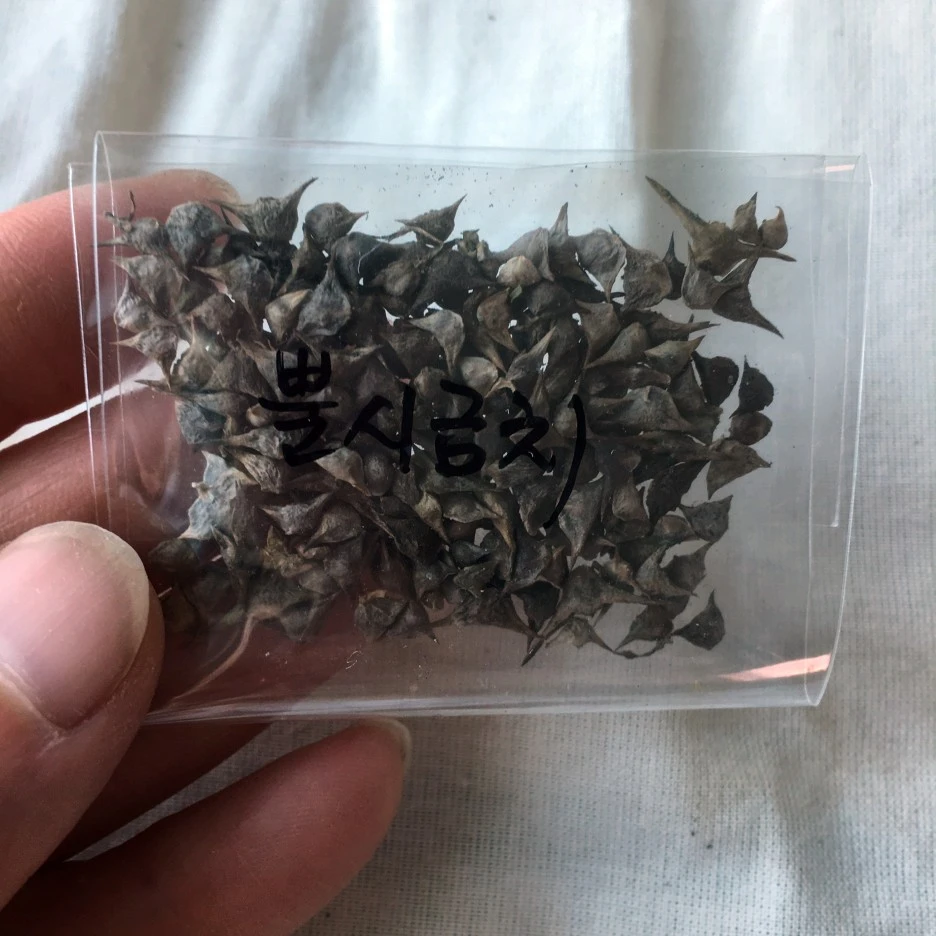 SE-06f2527a-1c99-4d0f-85f9-140443fd6394.jpg?type=w1