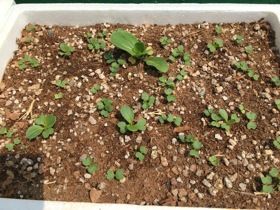 20210429_1197.JPG?type=w1