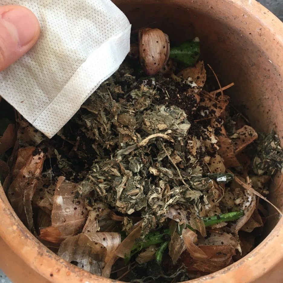 20210414_1051.JPG?type=w1