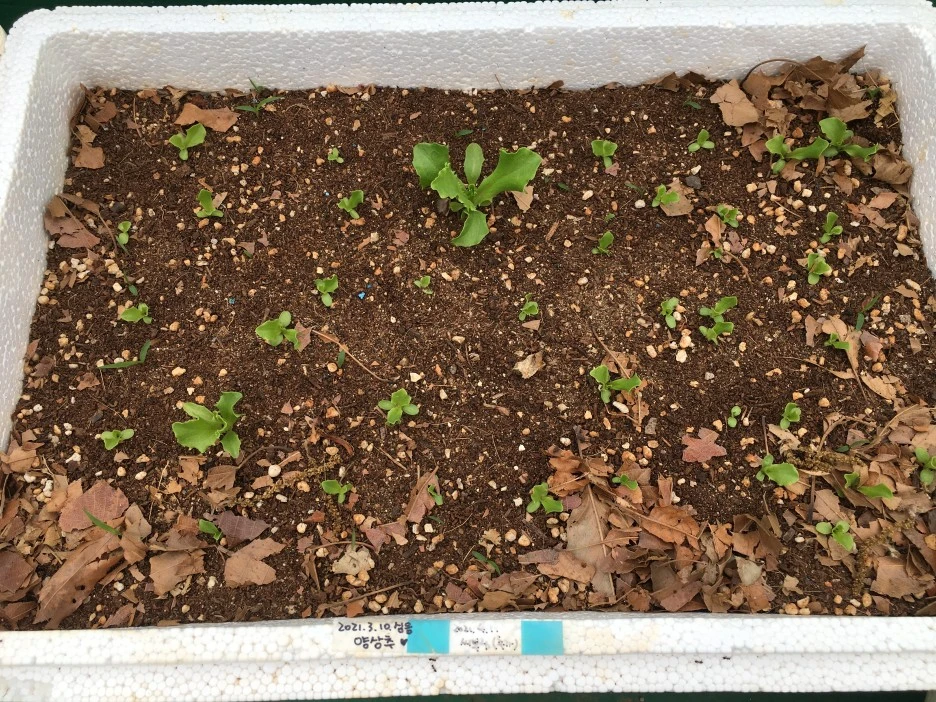 20210427_1106.JPG?type=w1