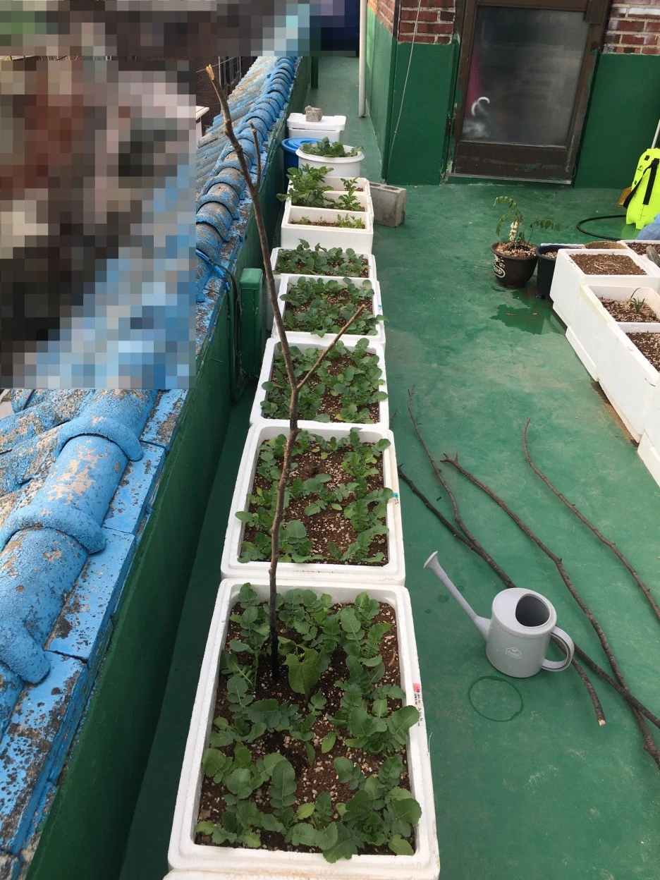 SE-b5ac81d9-f25c-49c0-b15d-dd8cfdf4b196.jpg?type=w1