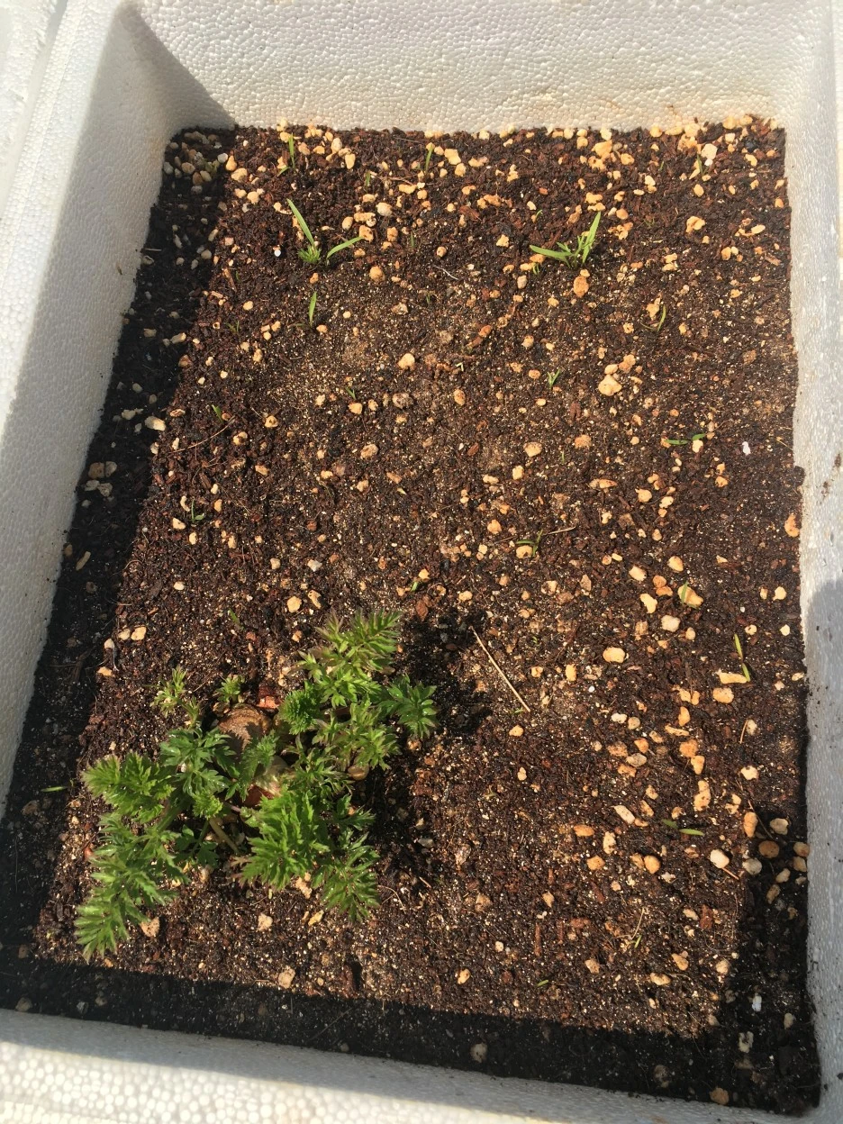 20210418_2834.JPG?type=w1