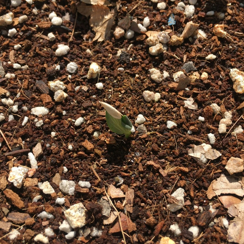 IMG_1005.JPG?type=w1