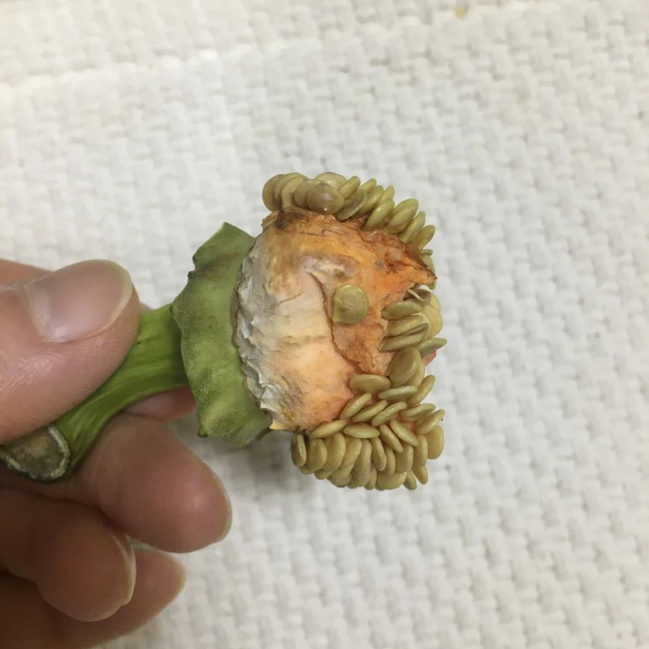 20210310_0159.jpg?type=w1